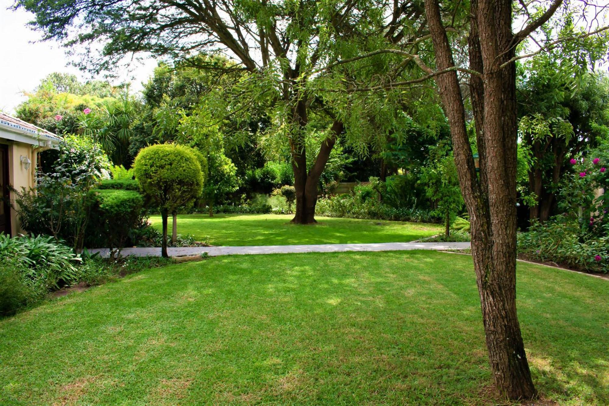 Chez Nous Bed And Breakfast & Self Catering Данди Экстерьер фото